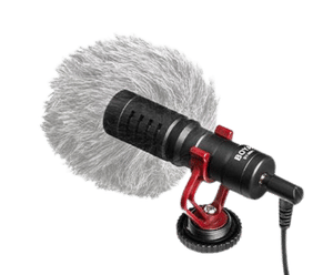 Microphone
